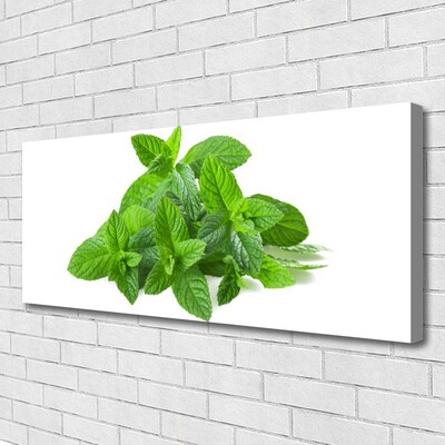 Quadro su tela Natura vegetale di menta