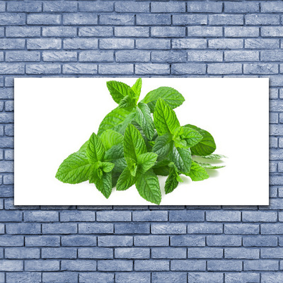 Quadro su tela Natura vegetale di menta