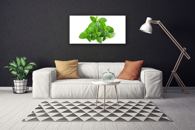 Quadro su tela Natura vegetale di menta