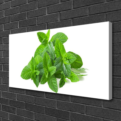 Quadro su tela Natura vegetale di menta