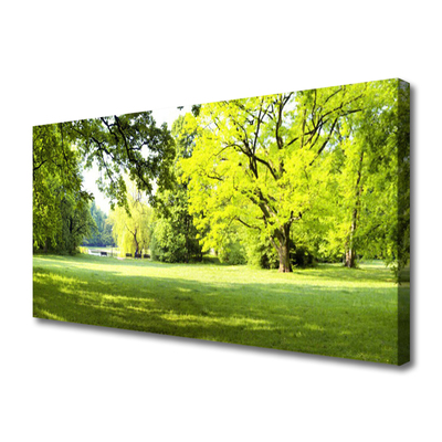 Quadro su tela Parco naturale degli alberi d'erba