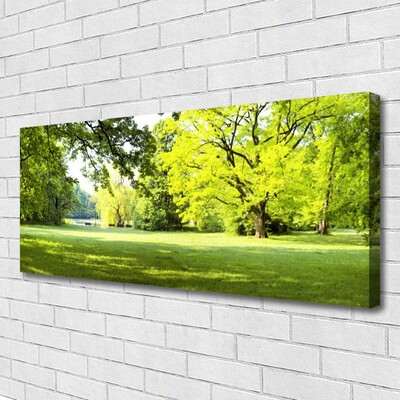 Quadro su tela Parco naturale degli alberi d'erba