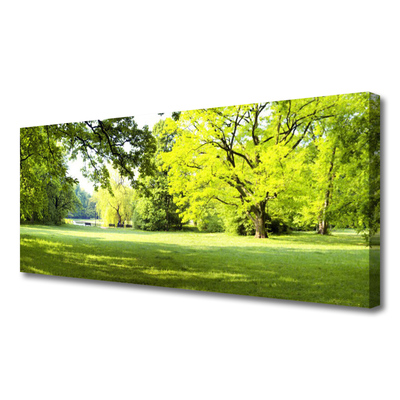 Quadro su tela Parco naturale degli alberi d'erba