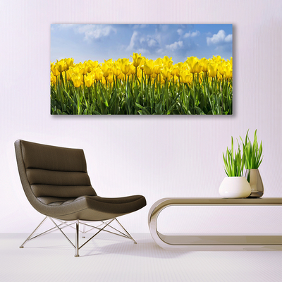 Stampa quadro su tela Tulipani, fiori, piante