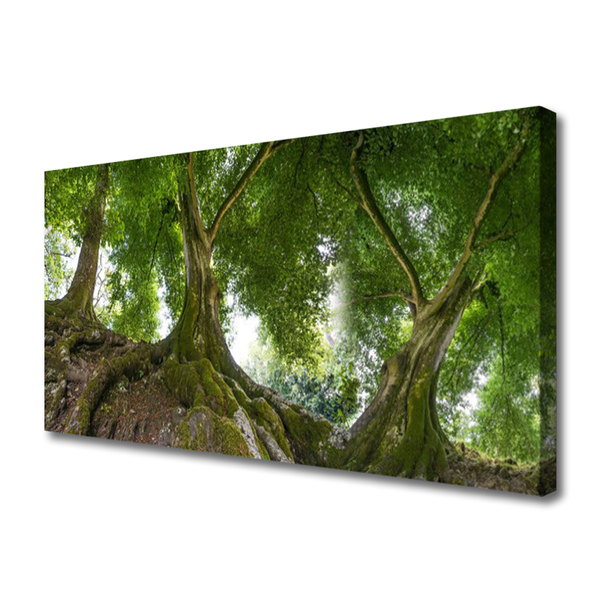 Quadro su tela Alberi, piante, natura