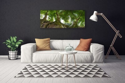 Quadro su tela Alberi, piante, natura