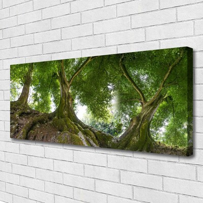 Quadro su tela Alberi, piante, natura