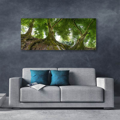 Quadro su tela Alberi, piante, natura