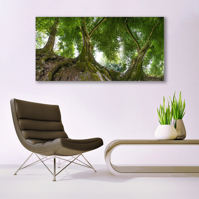 Quadro su tela Alberi, piante, natura