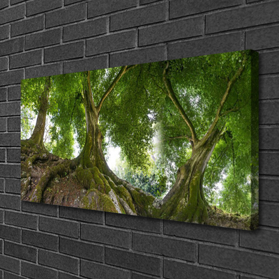 Quadro su tela Alberi, piante, natura