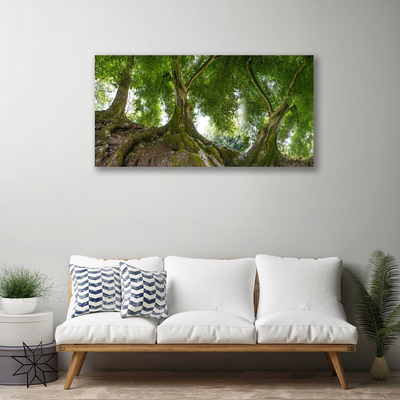 Quadro su tela Alberi, piante, natura