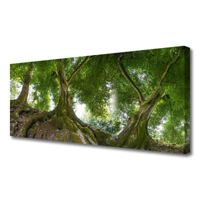 Quadro su tela Alberi, piante, natura