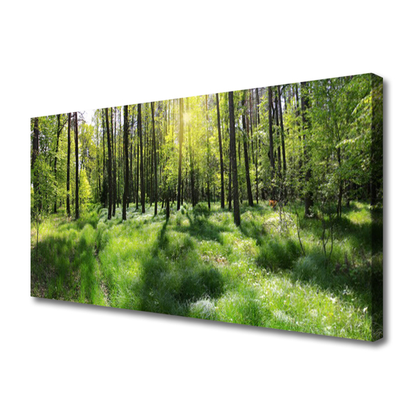 Quadro su tela Foresta. Erba. Pianta. Natura