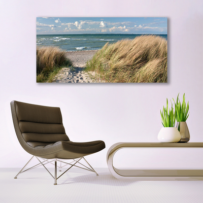 Stampa quadro su tela Paesaggio dell'erba del mare della spiaggia