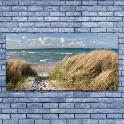 Stampa quadro su tela Paesaggio dell'erba del mare della spiaggia