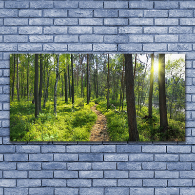 Quadro su tela Foresta. Sentiero. Sentiero. Natura