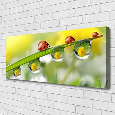 Quadro su tela Foglia di coccinella della natura