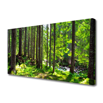 Quadro su tela Foresta, alberi, piante, natura