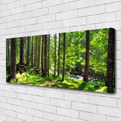 Quadro su tela Foresta, alberi, piante, natura