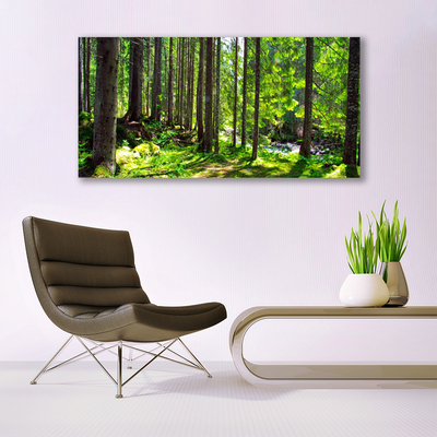 Quadro su tela Foresta, alberi, piante, natura