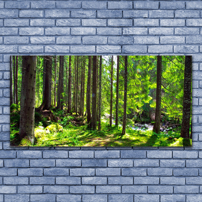 Quadro su tela Foresta, alberi, piante, natura