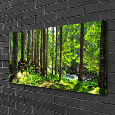 Quadro su tela Foresta, alberi, piante, natura