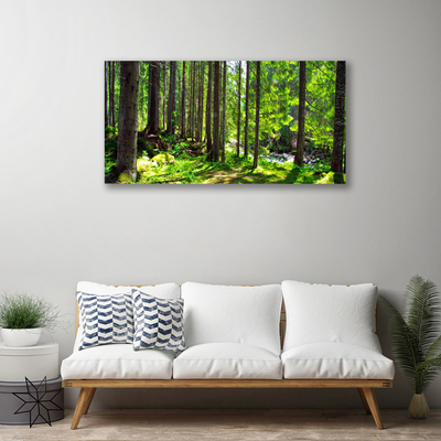 Quadro su tela Foresta, alberi, piante, natura