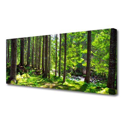 Quadro su tela Foresta, alberi, piante, natura