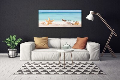 Quadro su tela Spiaggia di conchiglie di stelle marine