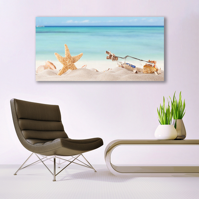 Quadro su tela Spiaggia di conchiglie di stelle marine