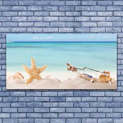 Quadro su tela Spiaggia di conchiglie di stelle marine
