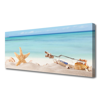 Quadro su tela Spiaggia di conchiglie di stelle marine