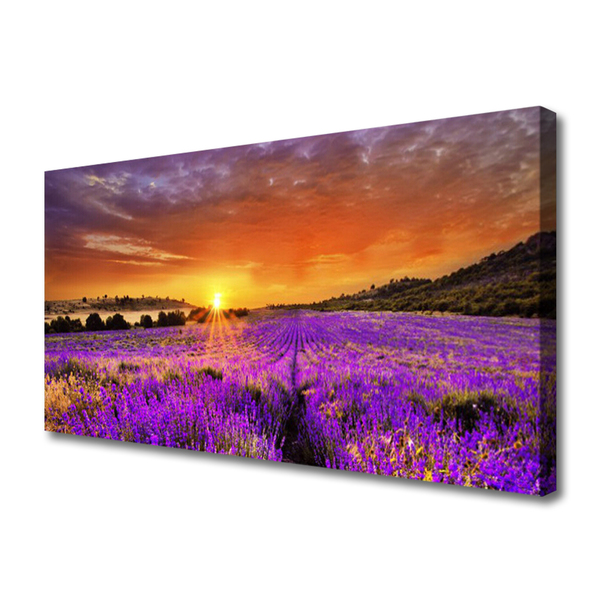 Quadro su tela Tramonto sul campo di lavanda