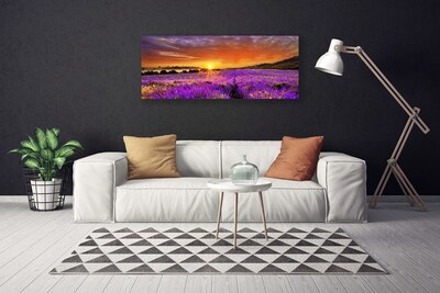 Quadro su tela Tramonto sul campo di lavanda