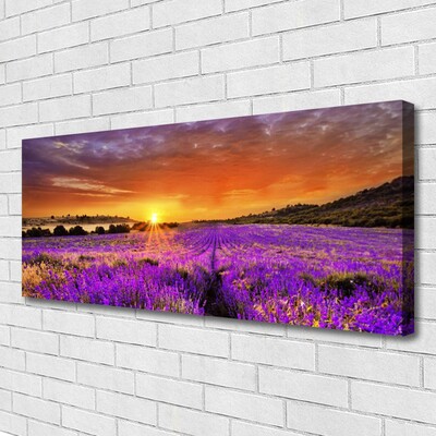 Quadro su tela Tramonto sul campo di lavanda