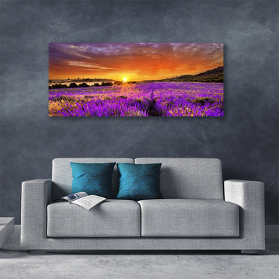 Quadro su tela Tramonto sul campo di lavanda