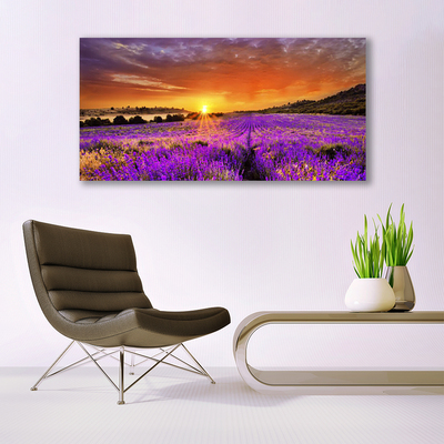 Quadro su tela Tramonto sul campo di lavanda