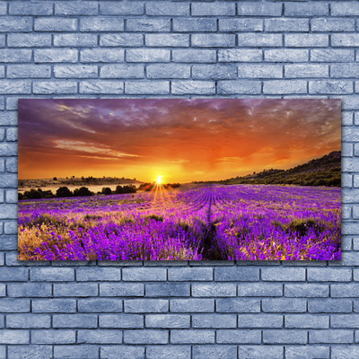 Quadro su tela Tramonto sul campo di lavanda