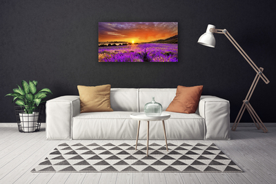 Quadro su tela Tramonto sul campo di lavanda