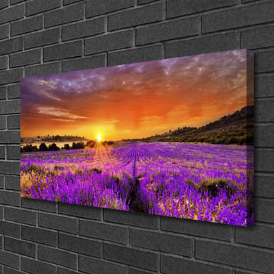 Quadro su tela Tramonto sul campo di lavanda