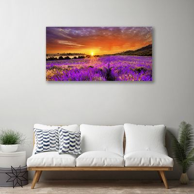 Quadro su tela Tramonto sul campo di lavanda