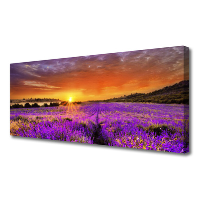 Quadro su tela Tramonto sul campo di lavanda