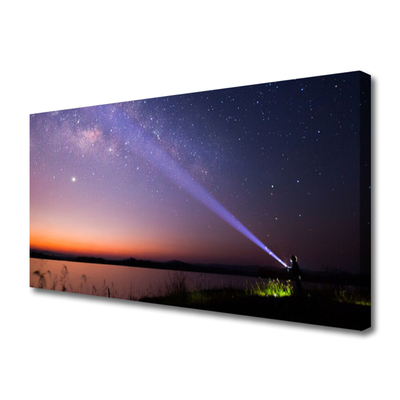 Quadro su tela Stelle notturne della Via Lattea