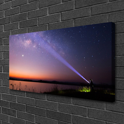 Quadro su tela Stelle notturne della Via Lattea
