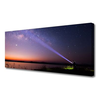 Quadro su tela Stelle notturne della Via Lattea