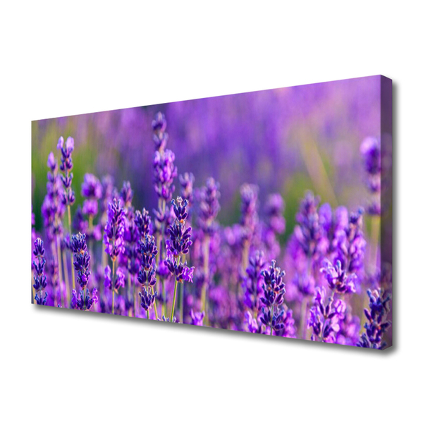 Foto quadro su tela Campo di lavanda viola