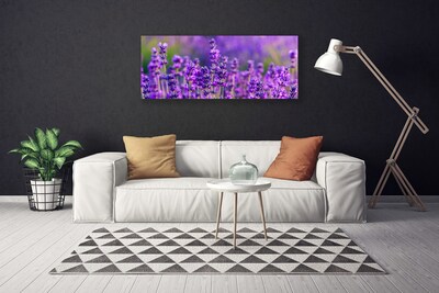 Foto quadro su tela Campo di lavanda viola