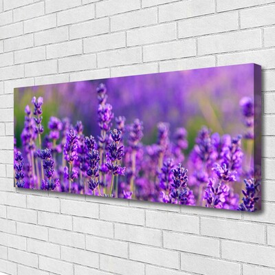 Foto quadro su tela Campo di lavanda viola