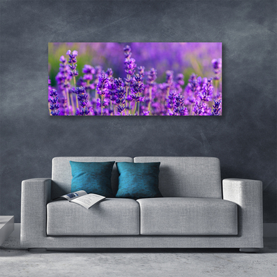 Foto quadro su tela Campo di lavanda viola