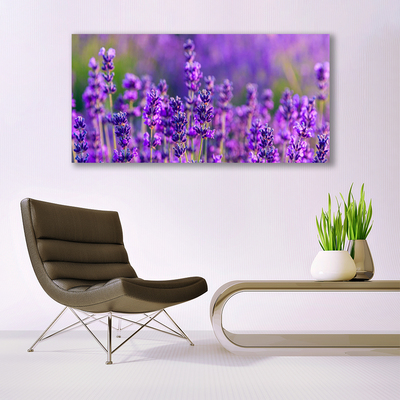 Foto quadro su tela Campo di lavanda viola